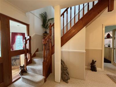 Picture 7